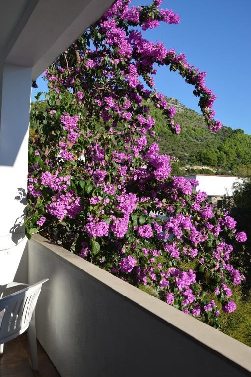 Apartments Andrea Drvenik  Δωμάτιο φωτογραφία