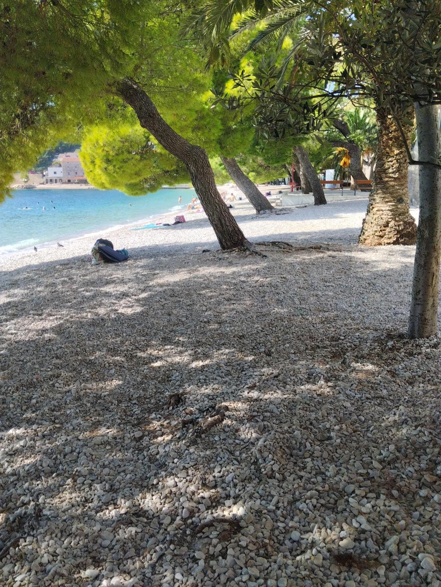 Apartments Andrea Drvenik  Εξωτερικό φωτογραφία