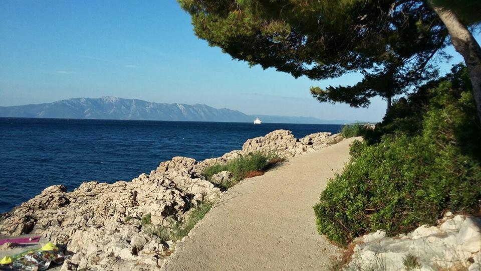 Apartments Andrea Drvenik  Εξωτερικό φωτογραφία