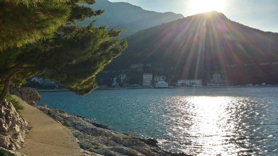 Apartments Andrea Drvenik  Εξωτερικό φωτογραφία